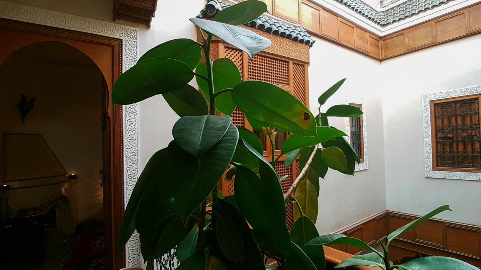 Gallery 49 & Marrakesh